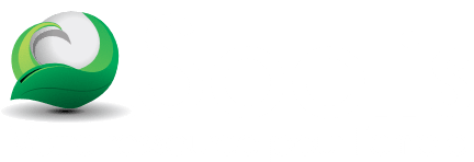 soelis logo